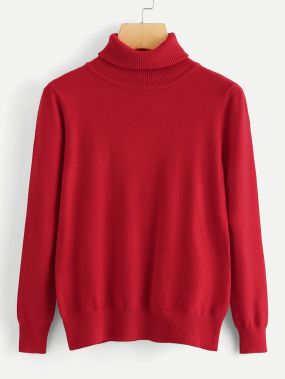 Одноцветный свитер с высоким воротником